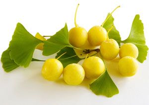 Gingko Biloba pour la dysfonction érectile